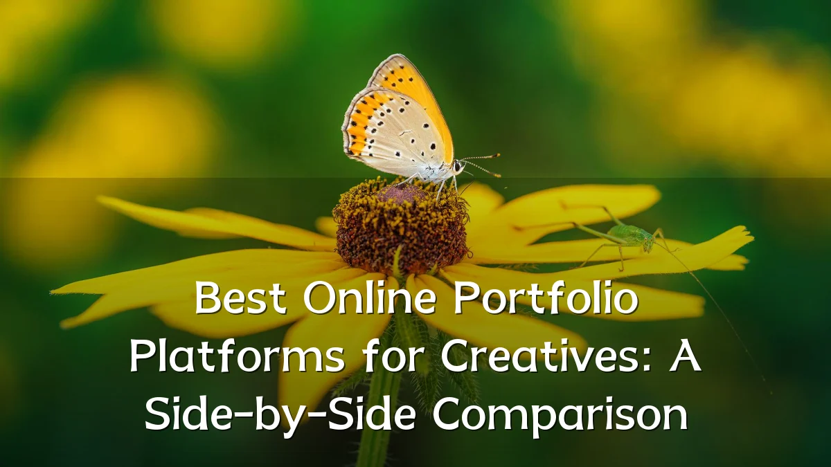 Best Online Portfolio Platforms for Creatives: A Side-by-Side Comparison