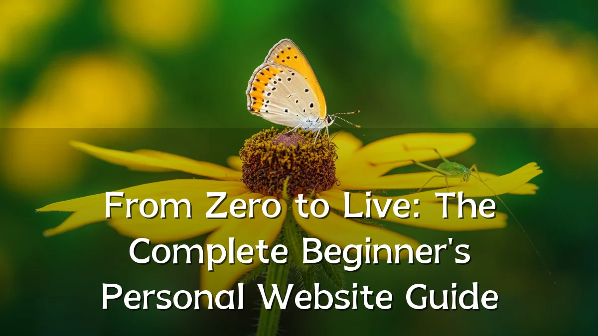 From Zero to Live: The Complete Beginner's Personal Website Guide