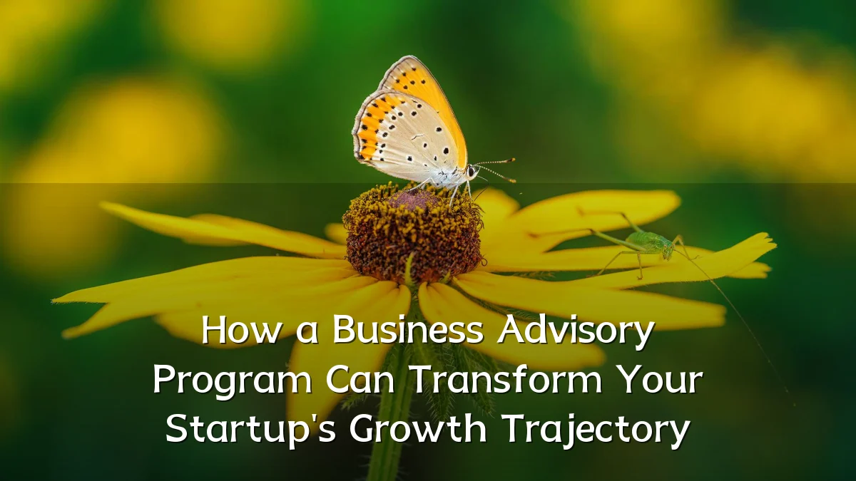 How a Business Advisory Program Can Transform Your Startup's Growth Trajectory