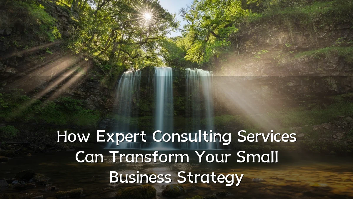 How Expert Consulting Services Can Transform Your Small Business Strategy