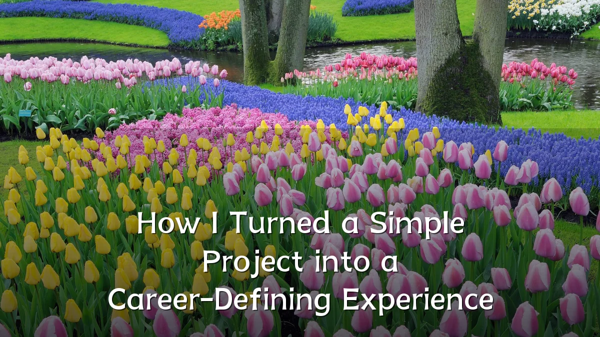 How I Turned a Simple Project into a Career-Defining Experience