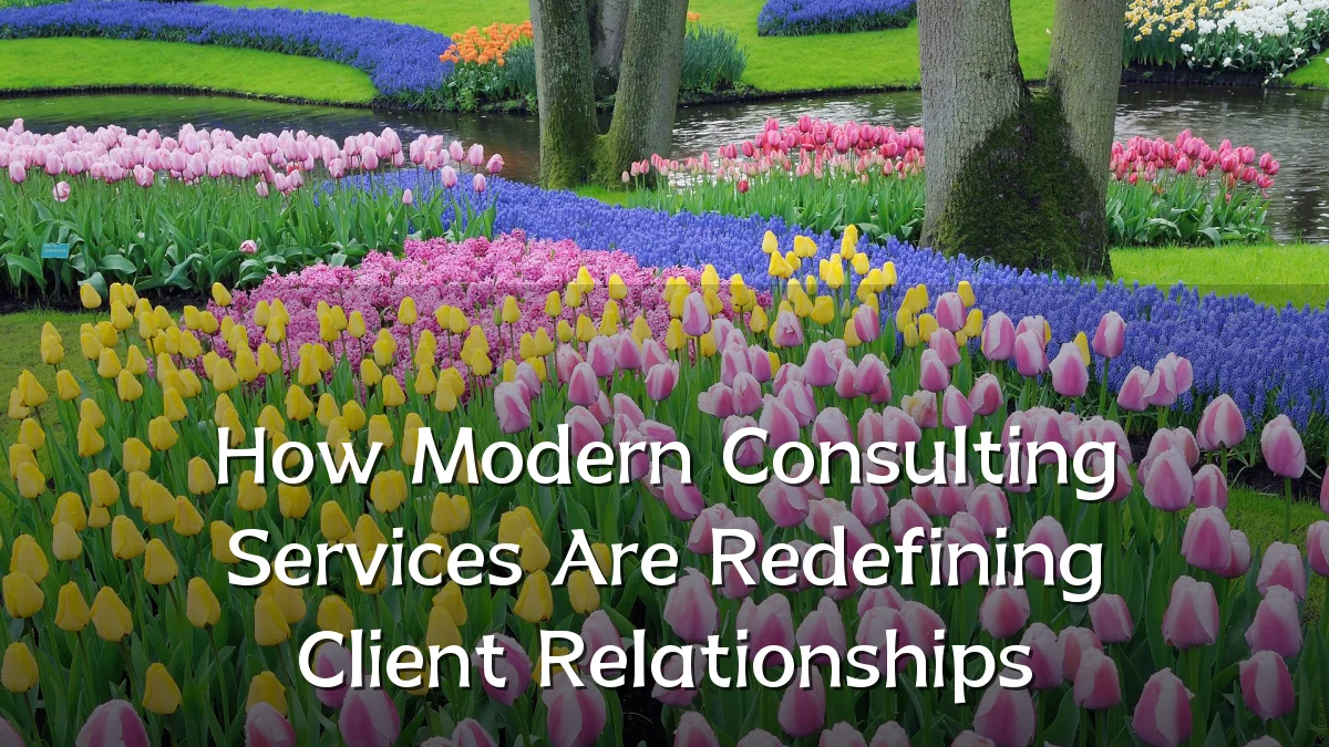 How Modern Consulting Services Are Redefining Client Relationships