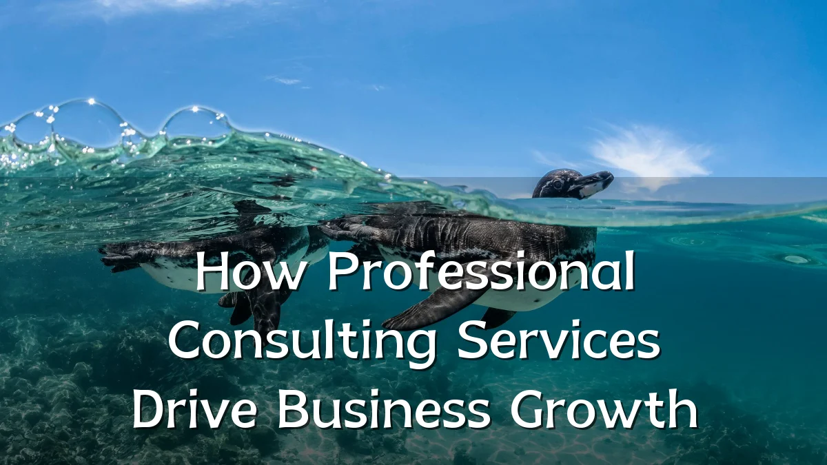 How Professional Consulting Services Drive Business Growth
