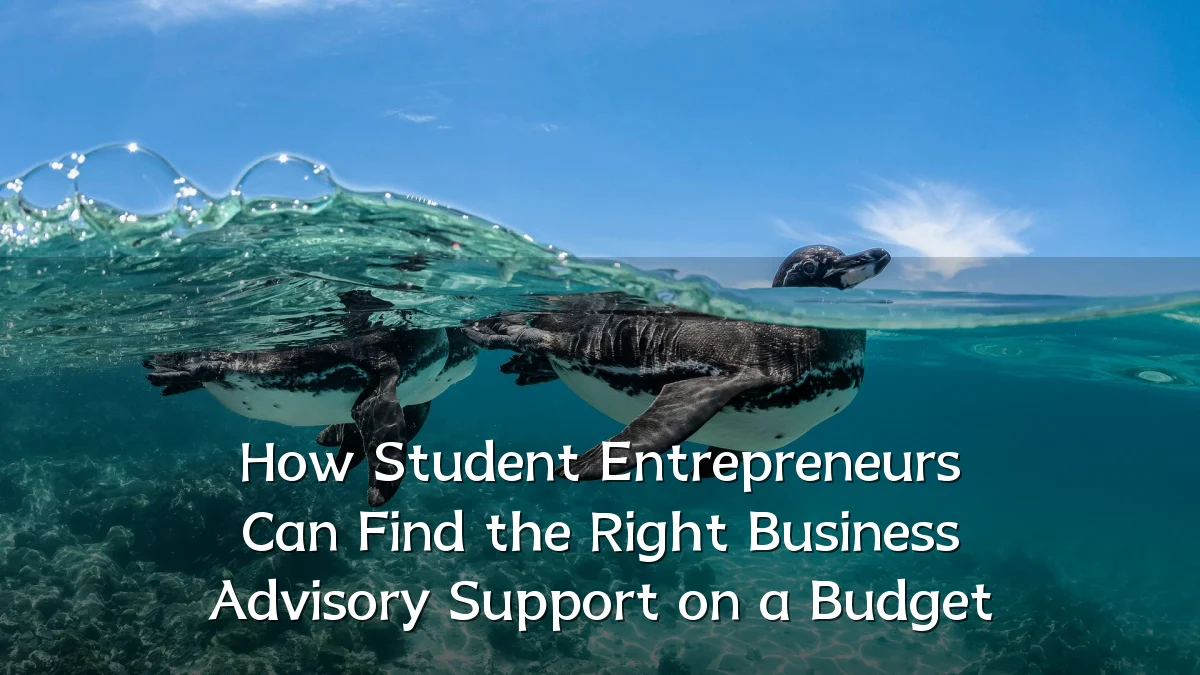 How Student Entrepreneurs Can Find the Right Business Advisory Support on a Budget