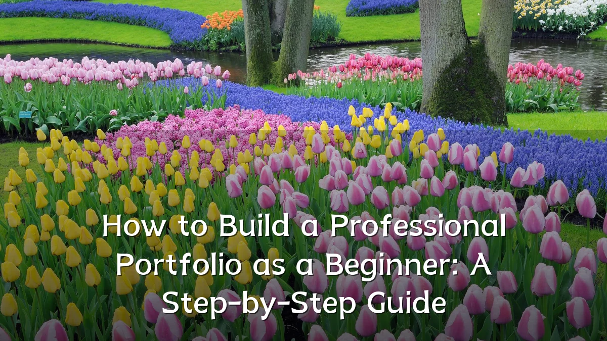 How to Build a Professional Portfolio as a Beginner: A Step-by-Step Guide