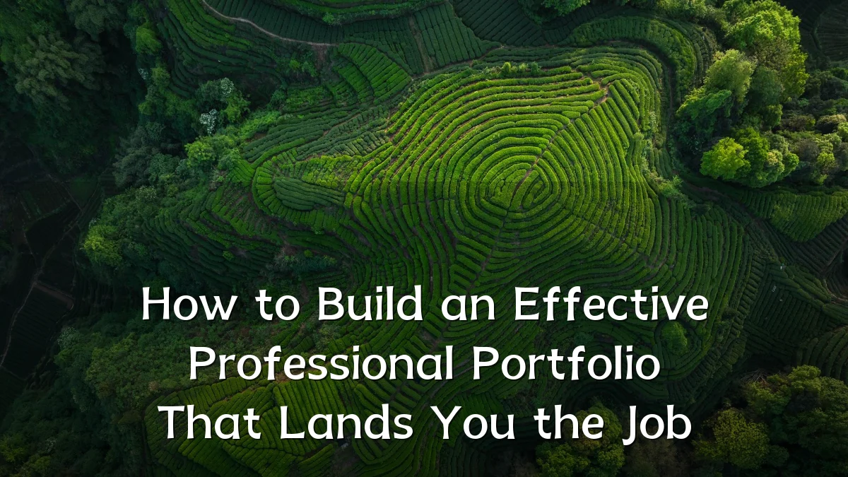 How to Build an Effective Professional Portfolio That Lands You the Job