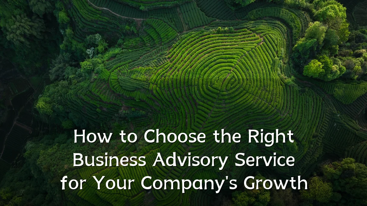 How to Choose the Right Business Advisory Service for Your Company's Growth