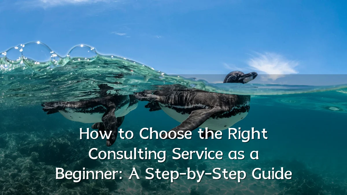 How to Choose the Right Consulting Service as a Beginner: A Step-by-Step Guide