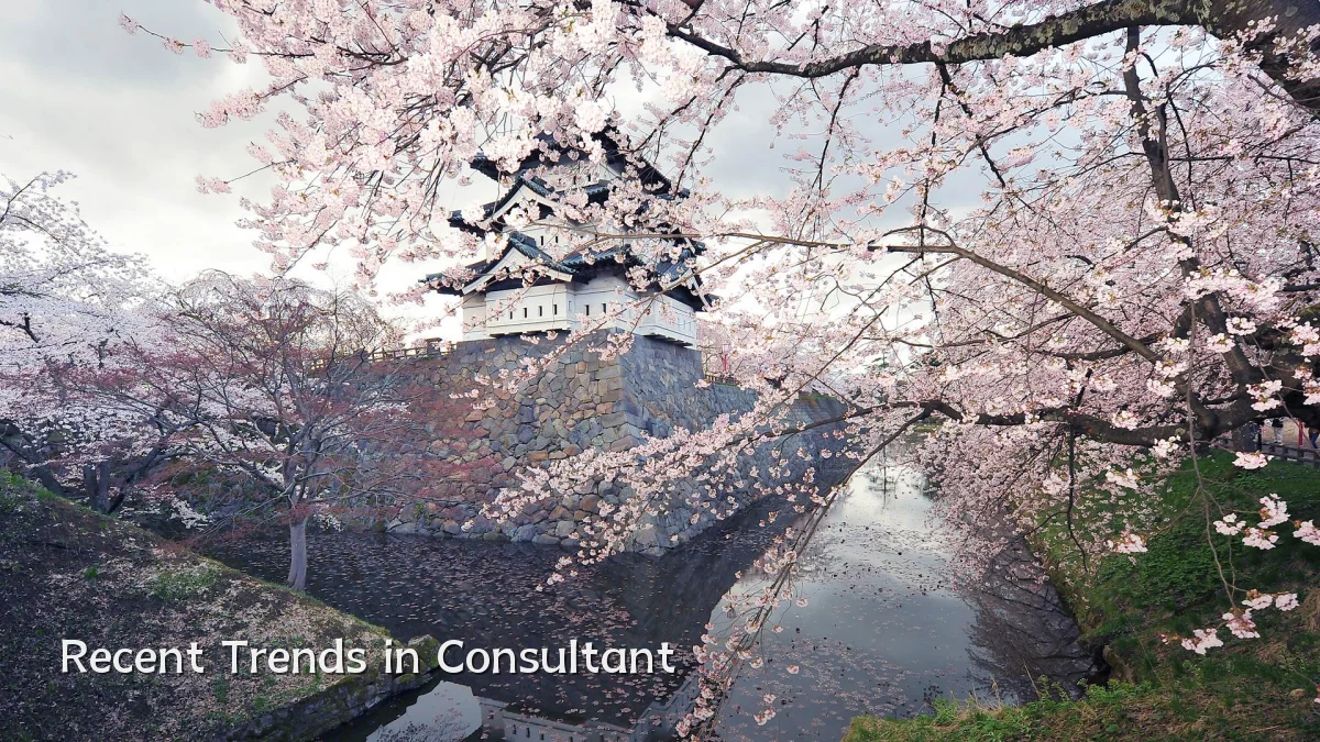 Recent Trends in Consultant