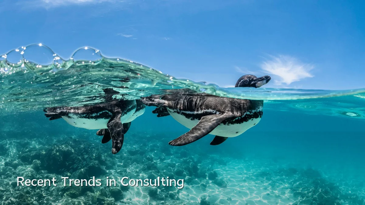 Recent Trends in Consulting