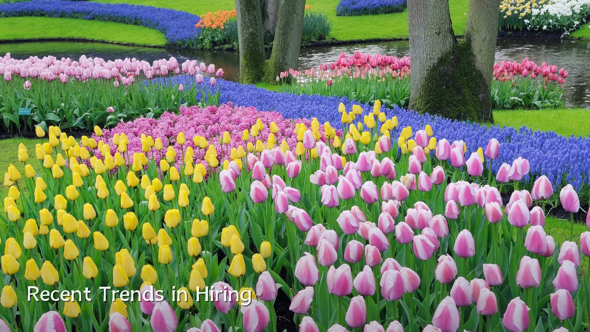 Recent Trends in Hiring