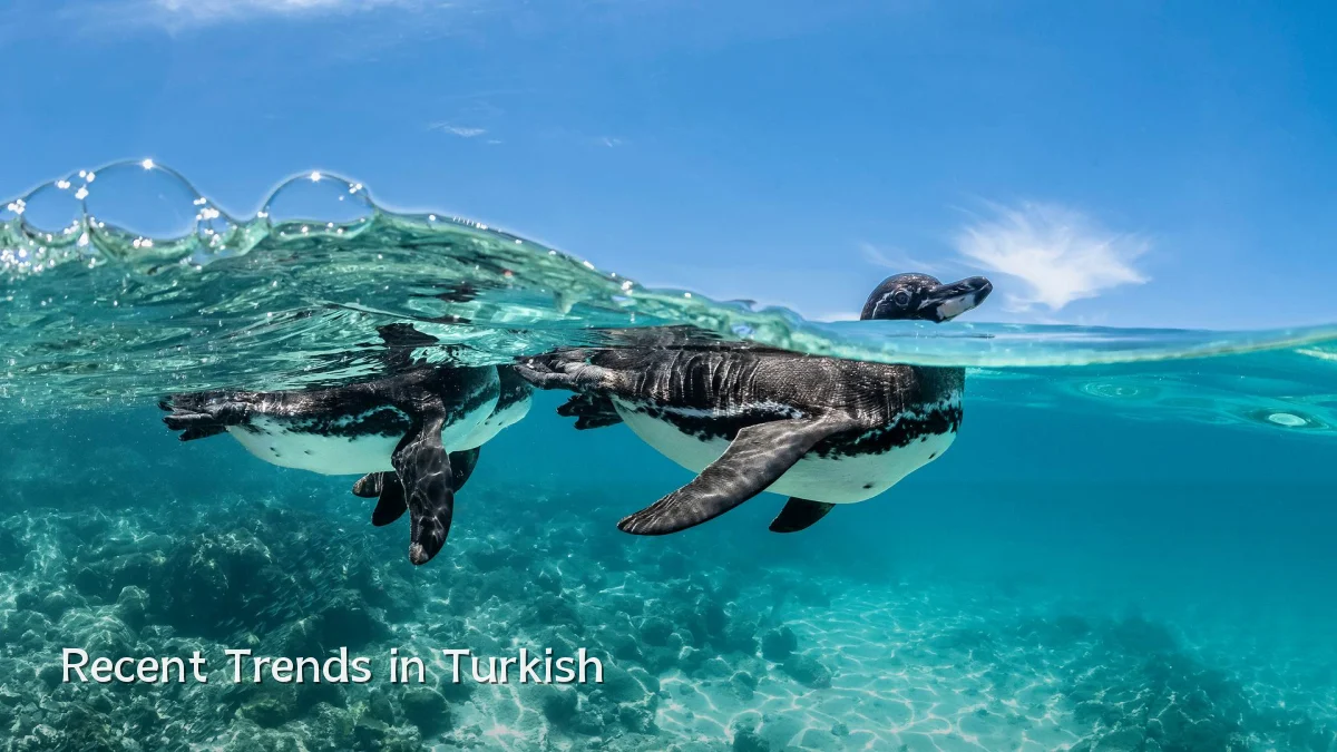 Recent Trends in Turkish