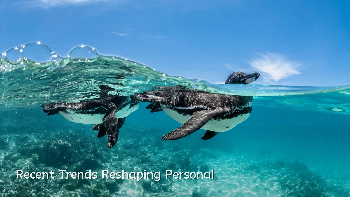 Recent Trends Reshaping Personal