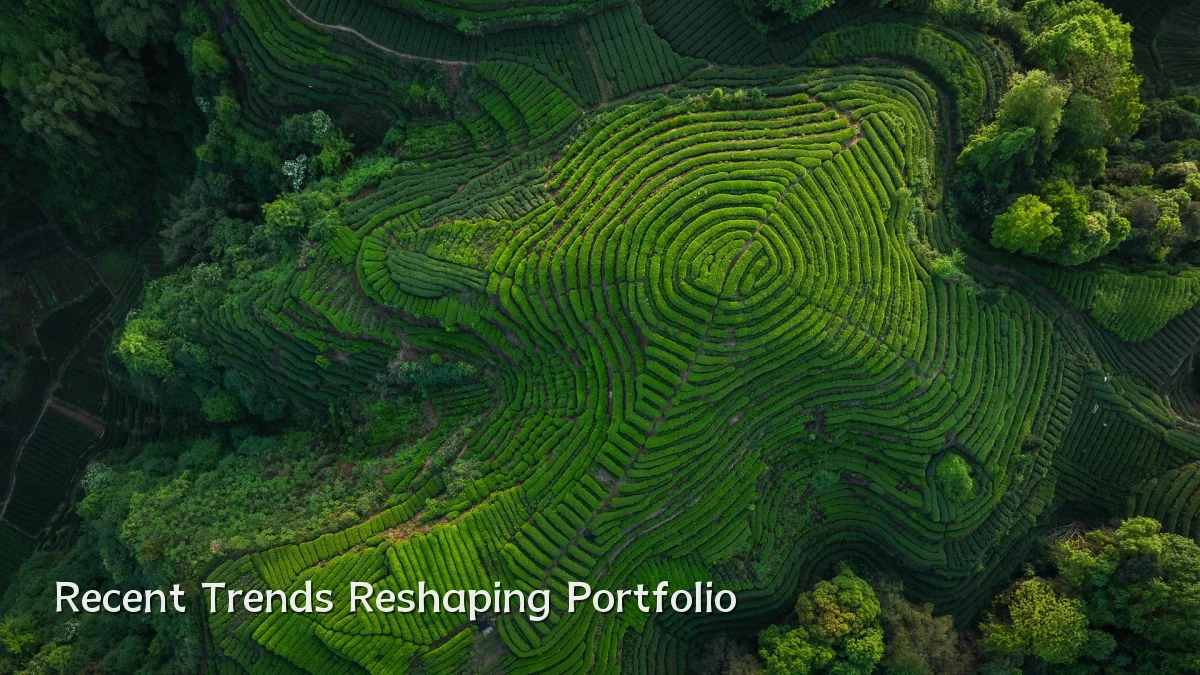 Recent Trends Reshaping Portfolio