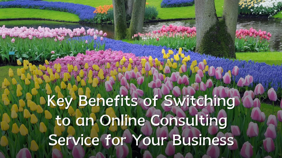 Key Benefits of Switching to an Online Consulting Service for Your Business