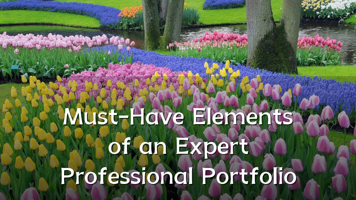 Must-Have Elements of an Expert Professional Portfolio