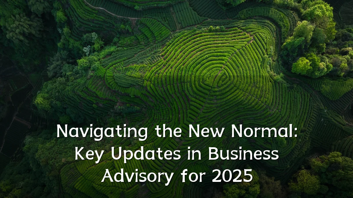 Navigating the New Normal: Key Updates in Business Advisory for 2025
