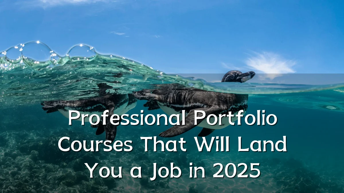 Professional Portfolio Courses That Will Land You a Job in 2025