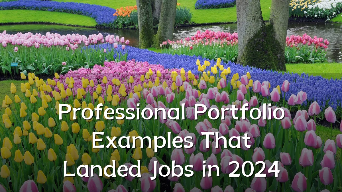 Professional Portfolio Examples That Landed Jobs in 2024