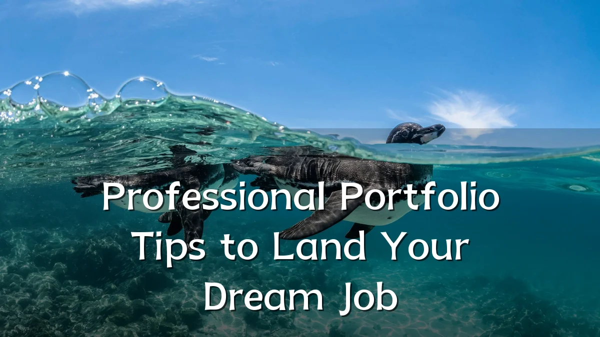 Professional Portfolio Tips to Land Your Dream Job