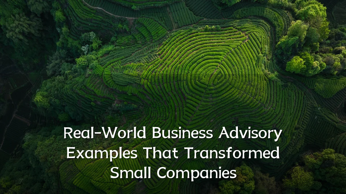 Real-World Business Advisory Examples That Transformed Small Companies