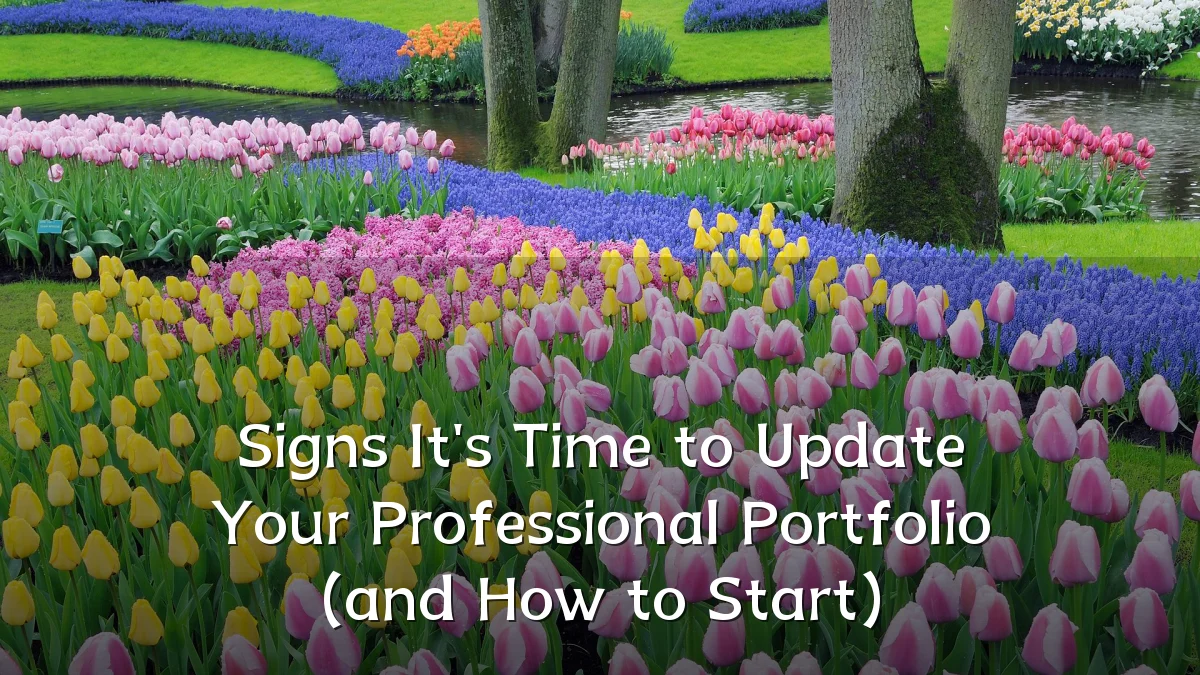Signs It's Time to Update Your Professional Portfolio (and How to Start)