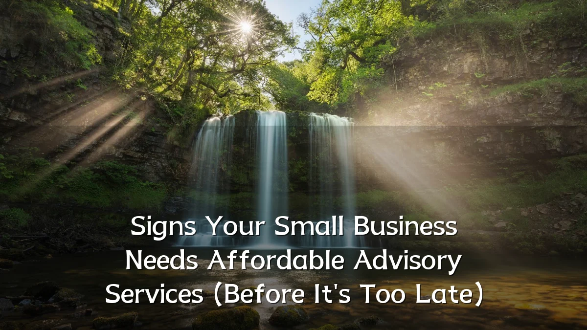 Signs Your Small Business Needs Affordable Advisory Services (Before It's Too Late)