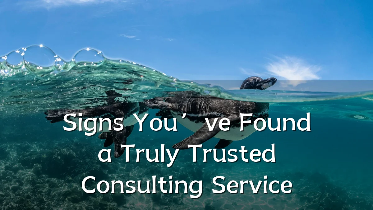 Signs You’ve Found a Truly Trusted Consulting Service