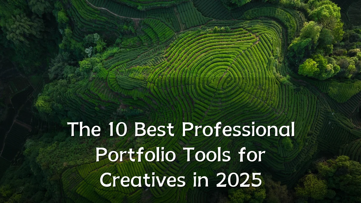 The 10 Best Professional Portfolio Tools for Creatives in 2025