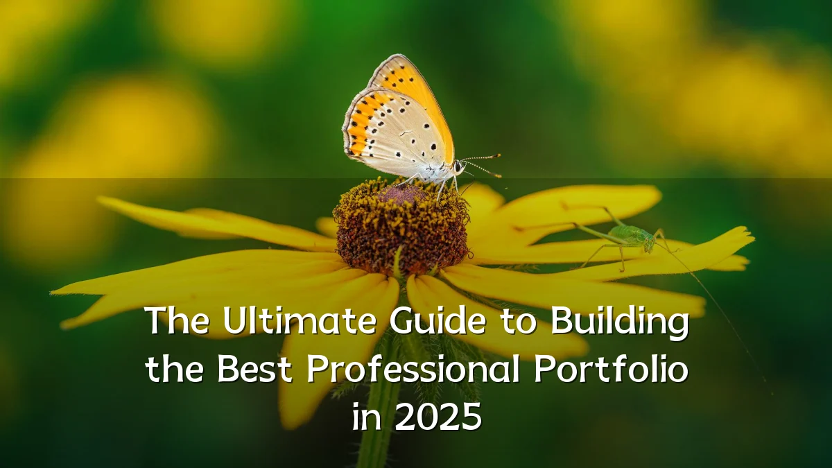 The Ultimate Guide to Building the Best Professional Portfolio in 2025