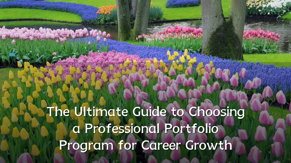 The Ultimate Guide to Choosing a Professional Portfolio Program for Career Growth