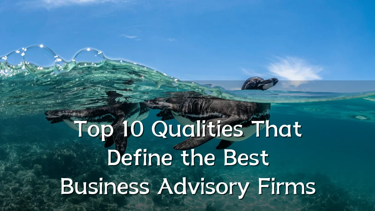 Top 10 Qualities That Define the Best Business Advisory Firms