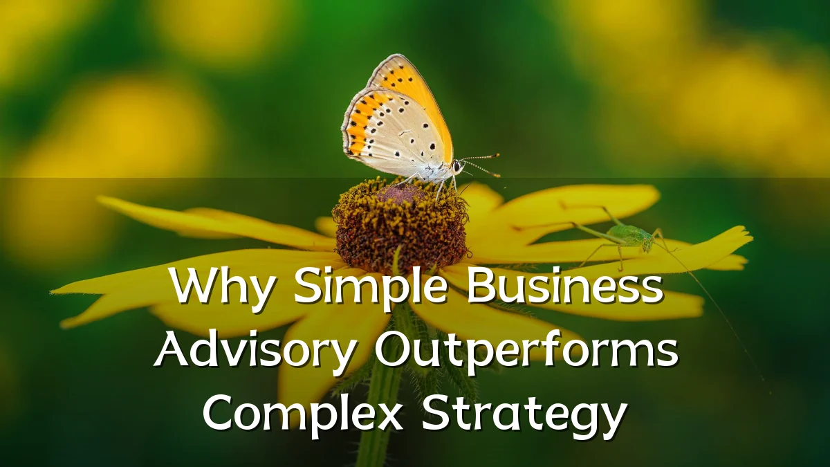 Why Simple Business Advisory Outperforms Complex Strategy