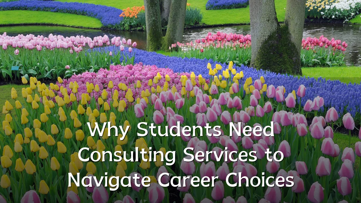 Why Students Need Consulting Services to Navigate Career Choices