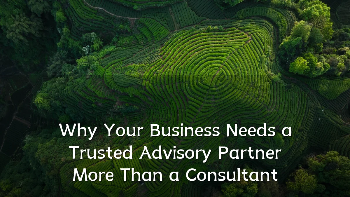 Why Your Business Needs a Trusted Advisory Partner More Than a Consultant