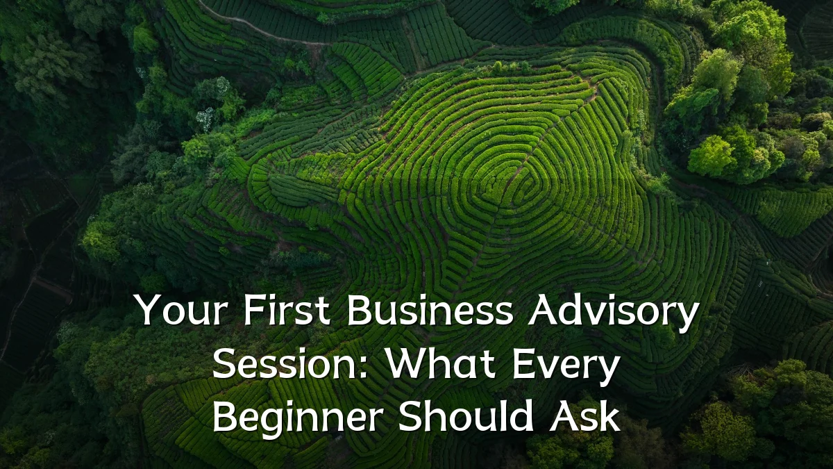 Your First Business Advisory Session: What Every Beginner Should Ask