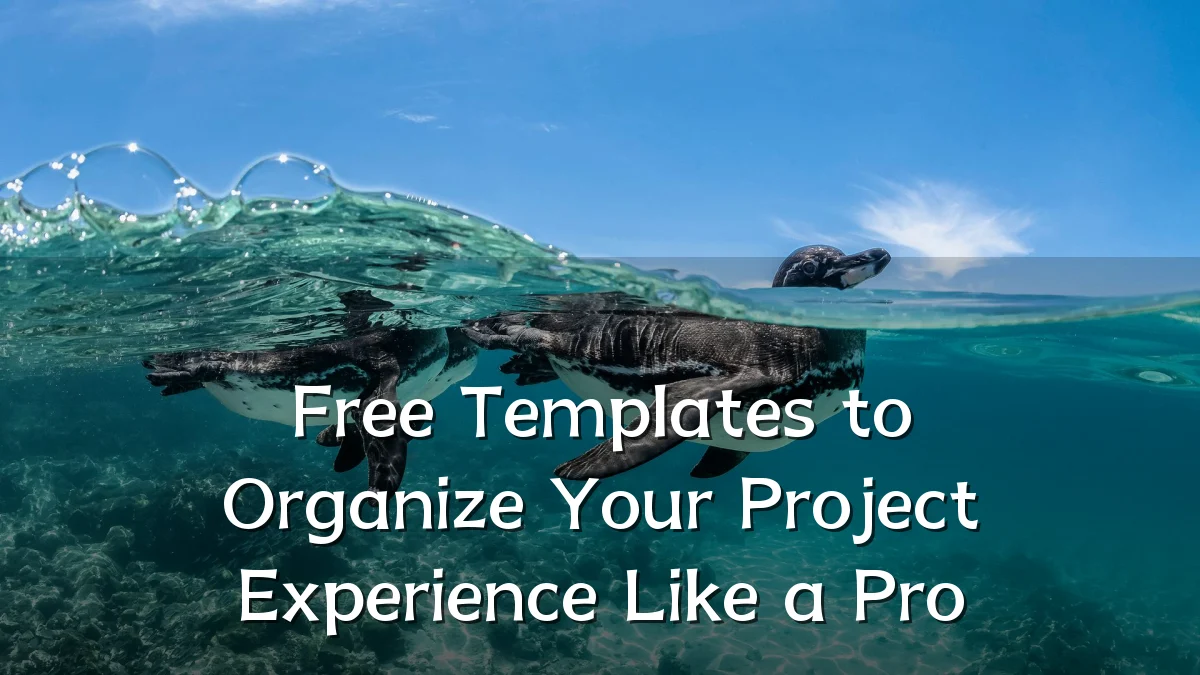 Free Templates to Organize Your Project Experience Like a Pro