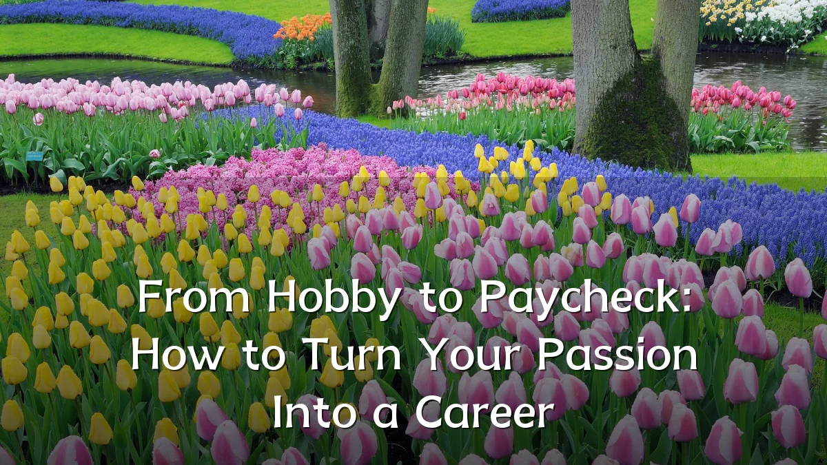 From Hobby to Paycheck: How to Turn Your Passion Into a Career