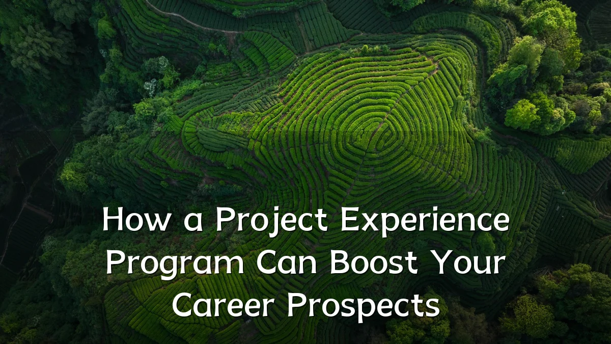 How a Project Experience Program Can Boost Your Career Prospects