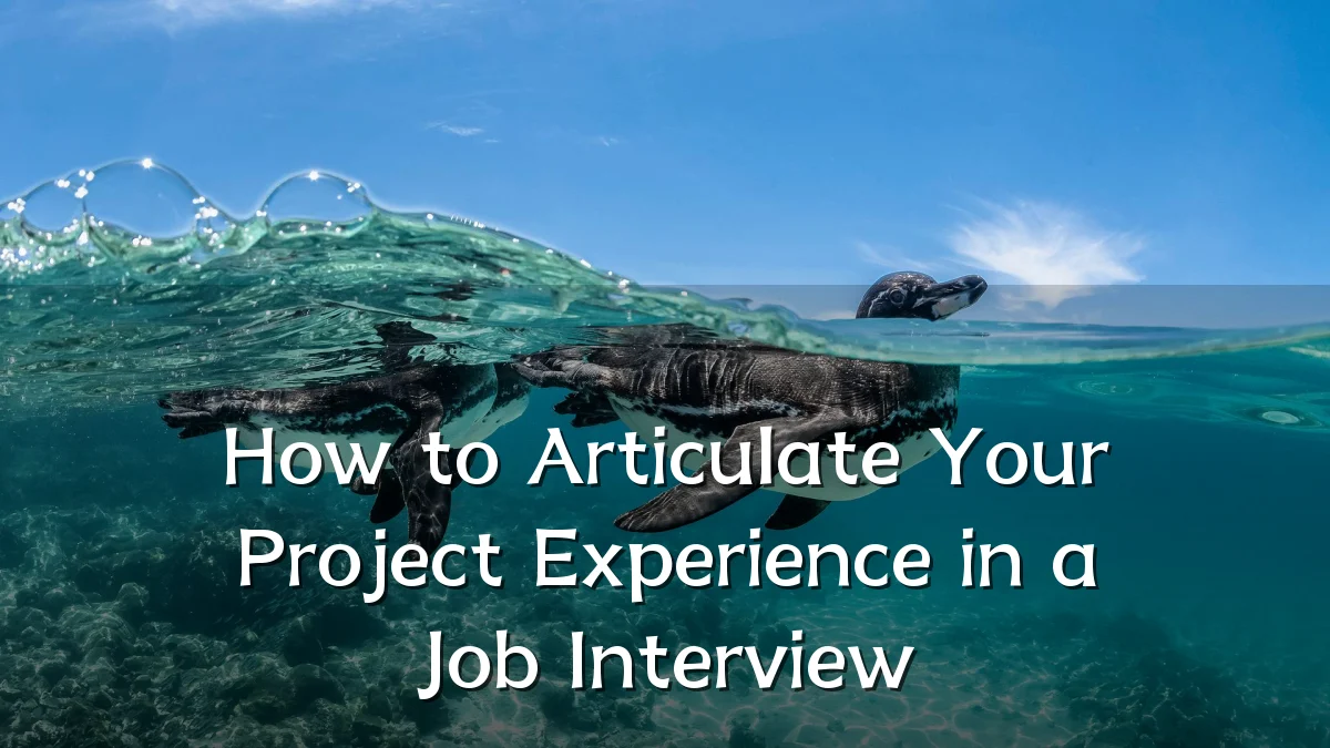 How to Articulate Your Project Experience in a Job Interview