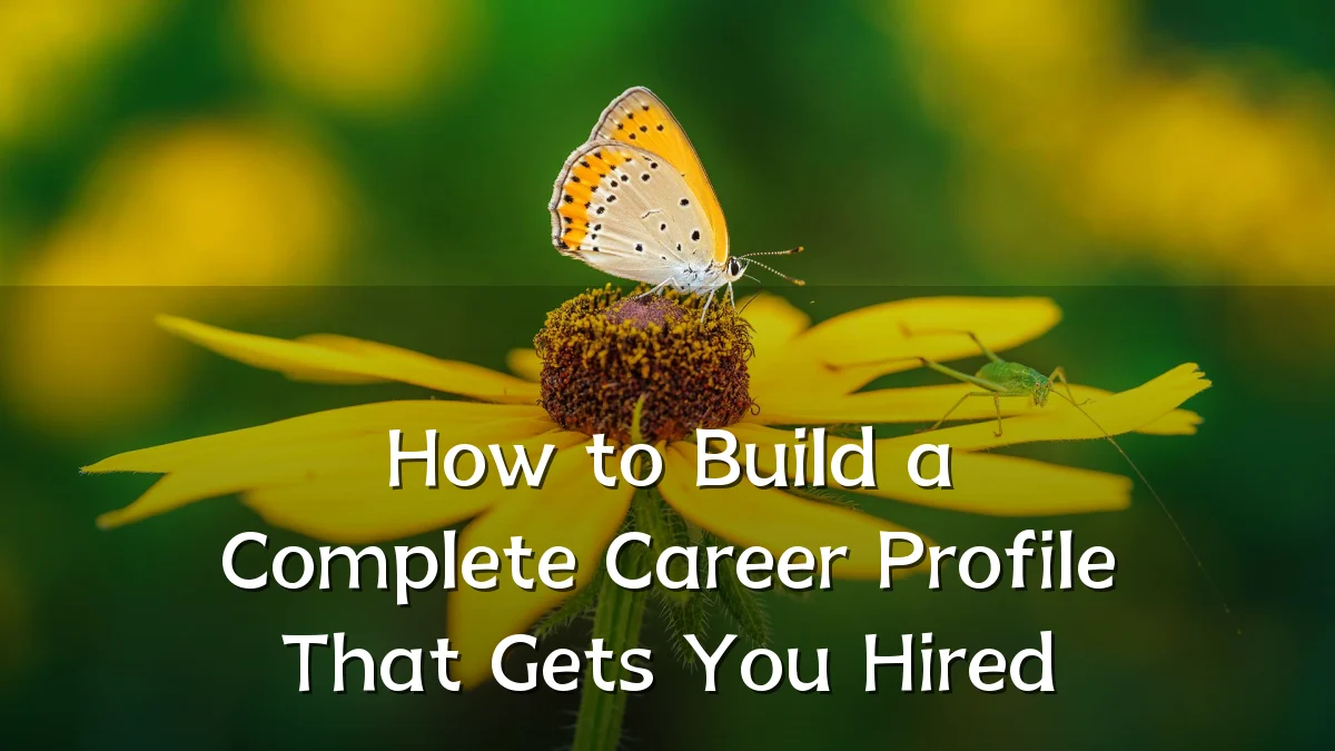 How to Build a Complete Career Profile That Gets You Hired