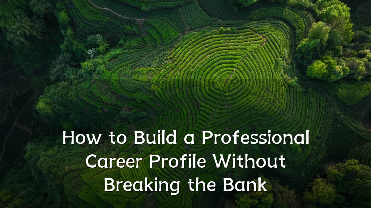 How to Build a Professional Career Profile Without Breaking the Bank