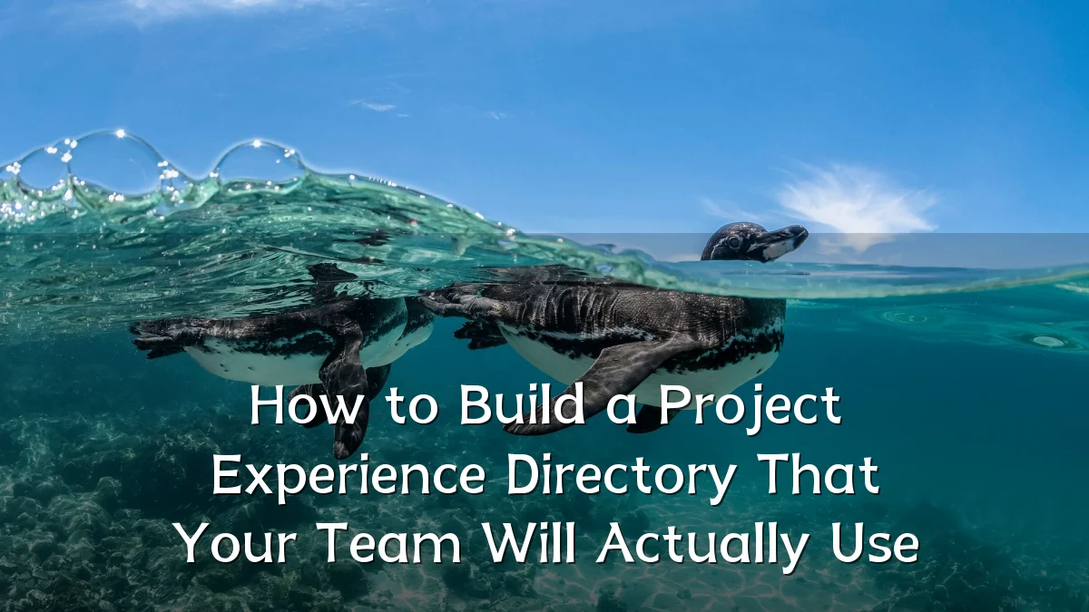 How to Build a Project Experience Directory That Your Team Will Actually Use