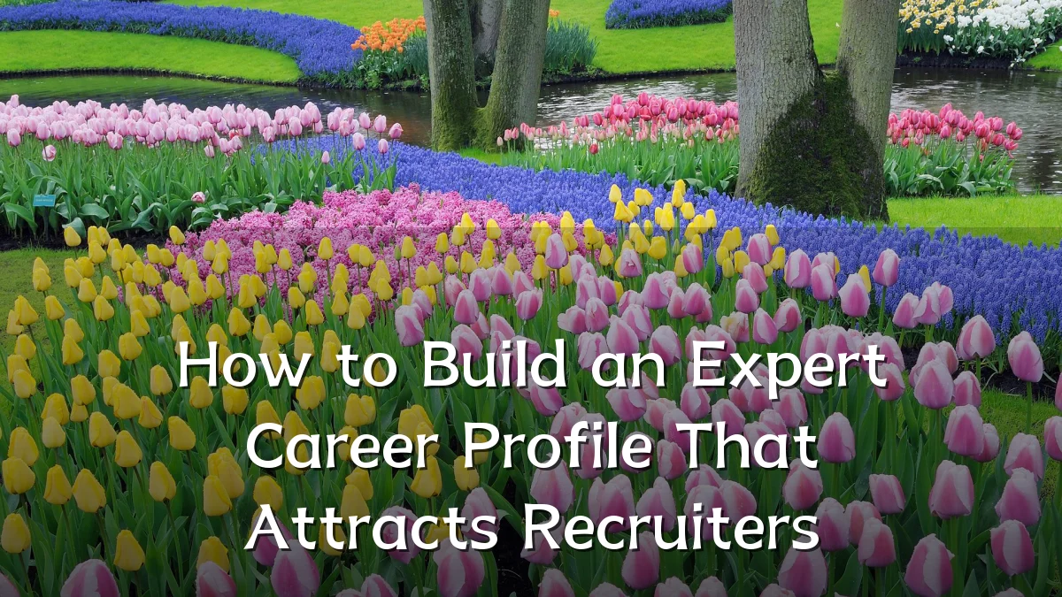 How to Build an Expert Career Profile That Attracts Recruiters