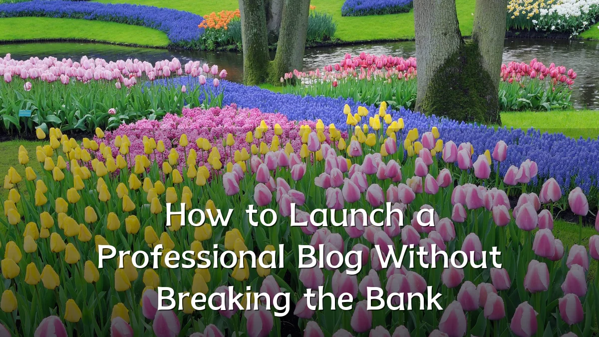 How to Launch a Professional Blog Without Breaking the Bank