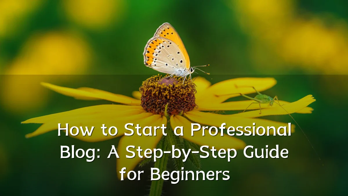How to Start a Professional Blog: A Step-by-Step Guide for Beginners