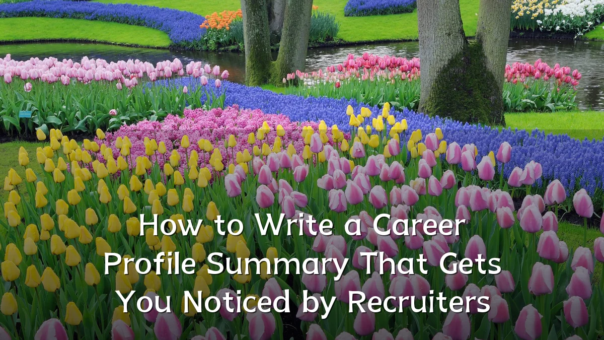 How to Write a Career Profile Summary That Gets You Noticed by Recruiters