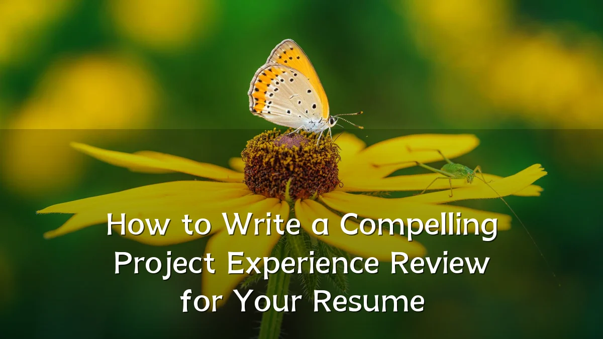 How to Write a Compelling Project Experience Review for Your Resume