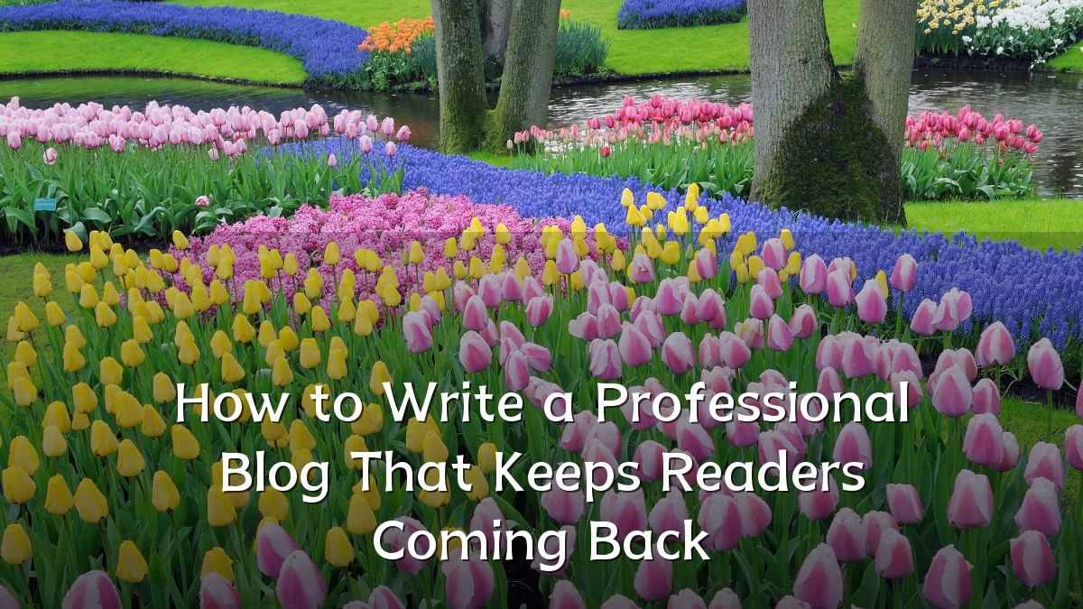 How to Write a Professional Blog That Keeps Readers Coming Back