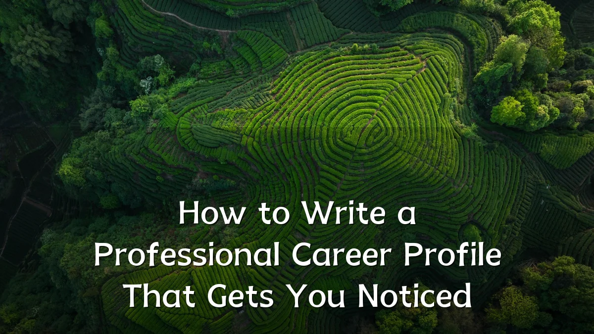 How to Write a Professional Career Profile That Gets You Noticed